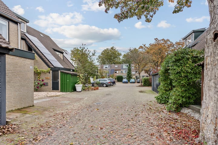 Photo 34 of Salamandersloot 13