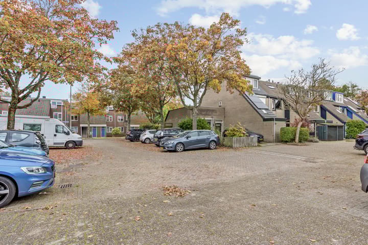 Photo 36 of Salamandersloot 13