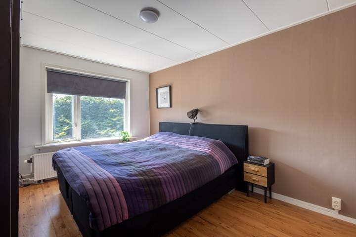 Photo 23 of Lyceumstraat 77