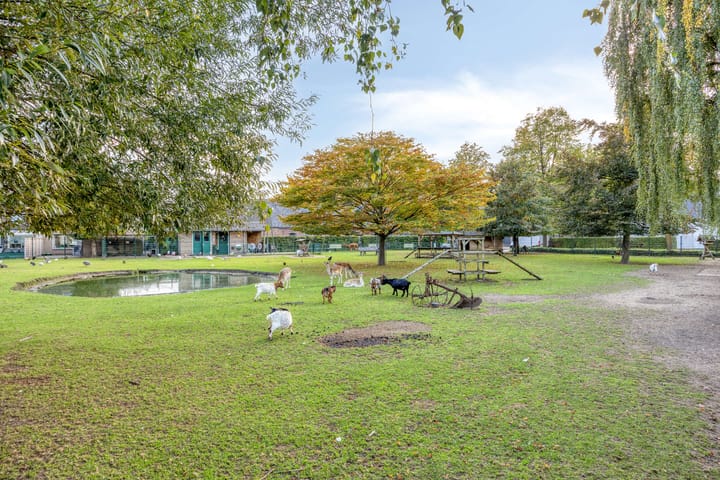 Photo 54 of Amerlaan 16