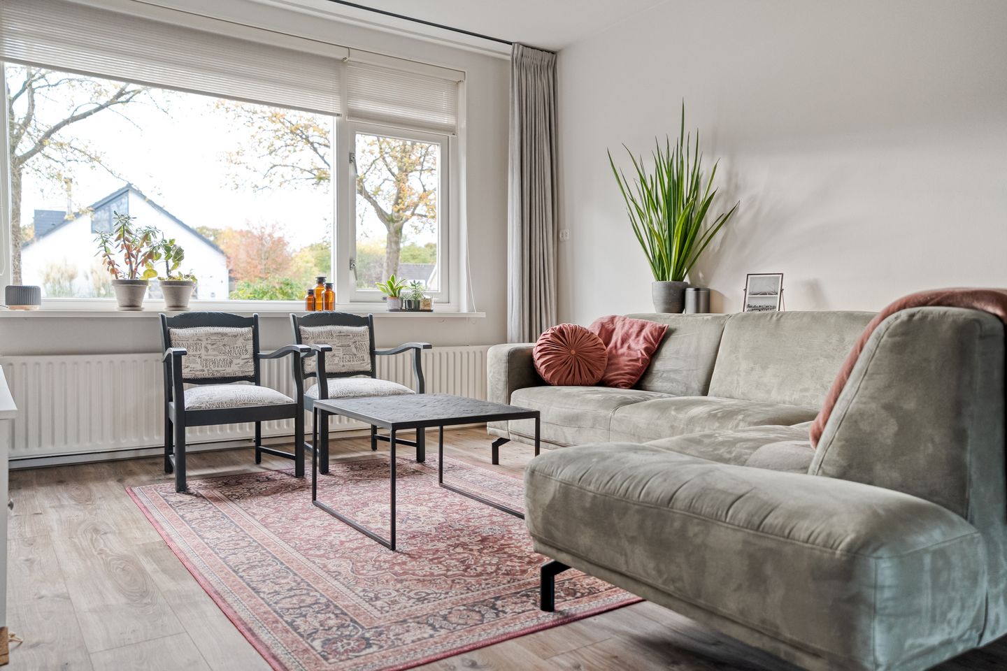 Foto 10 van Ruigedoornstraat 60