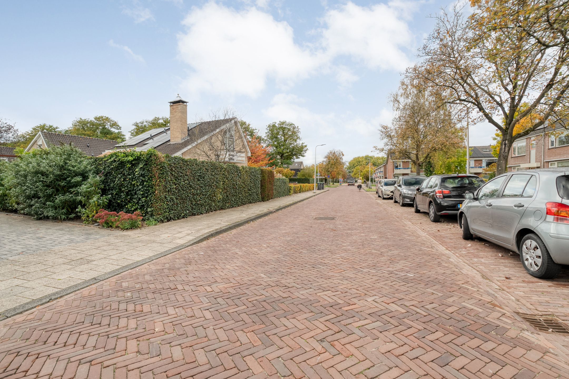 Foto 42 van Ruigedoornstraat 60