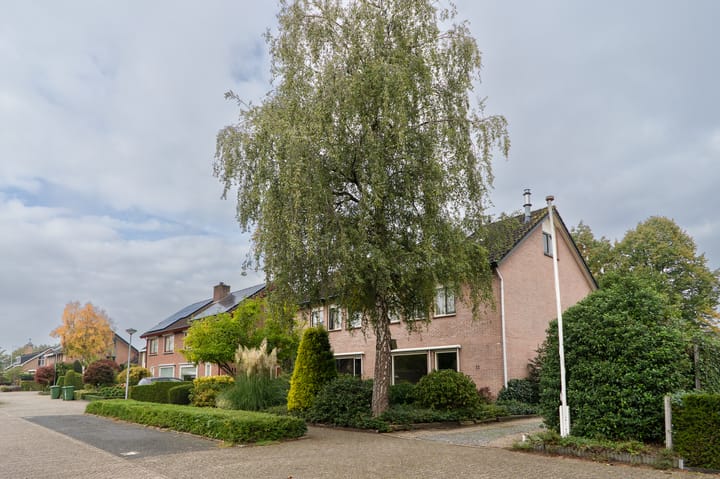 Foto 2 van Hertespoor 11