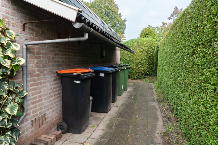 Foto 11 van Hertespoor 11