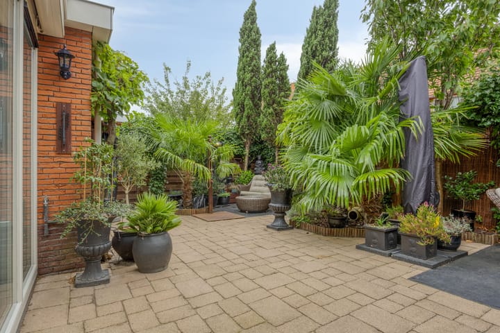 Photo 5 of Scheldestroom 37