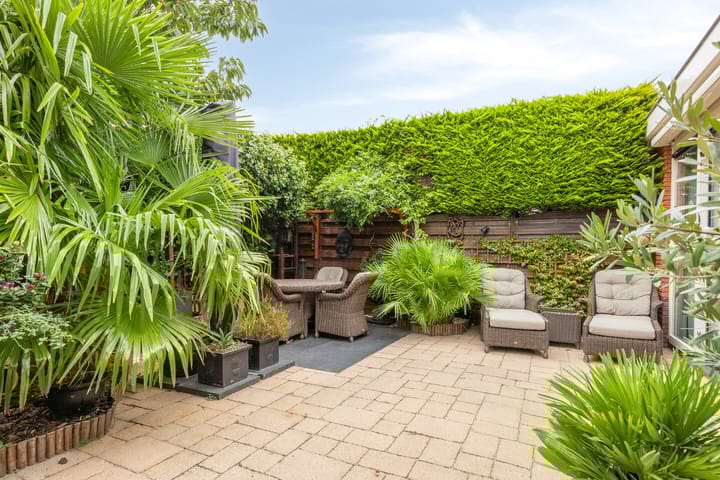 Photo 6 of Scheldestroom 37