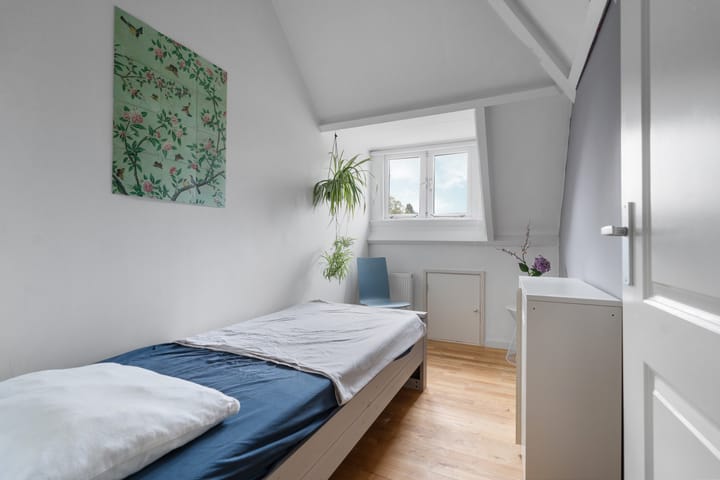 Photo 32 of Roemer Visscherstraat 3