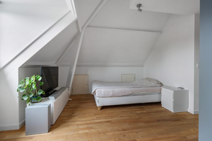 Photo 35 of Roemer Visscherstraat 3