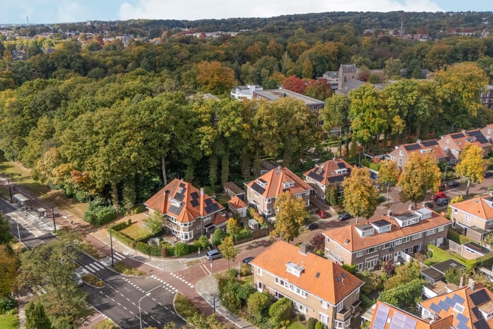 Photo 50 of Roemer Visscherstraat 3