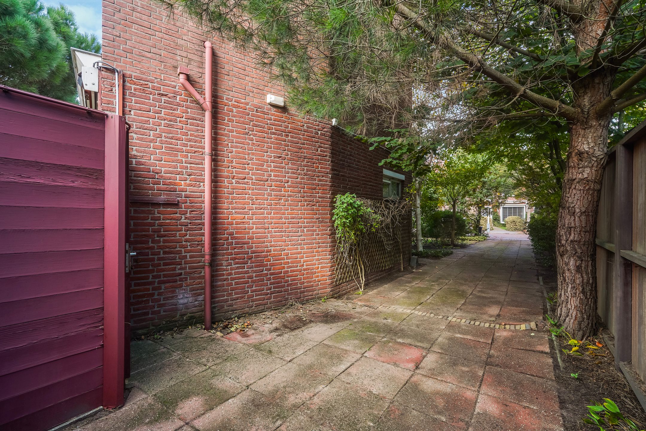 Foto 66 van Kruisbeklaan 38