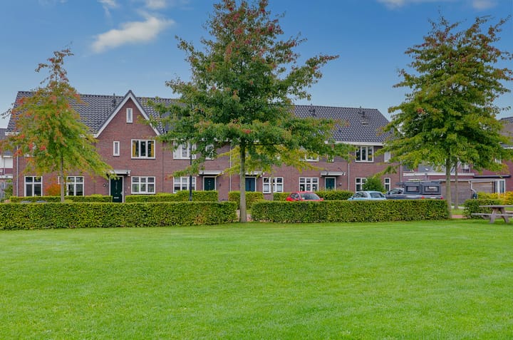 Photo 1 of Walstro 20