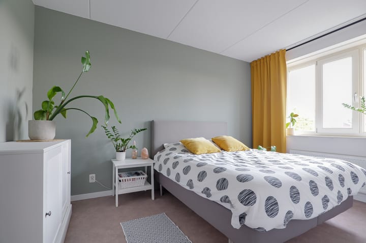 Photo 13 of Walstro 20