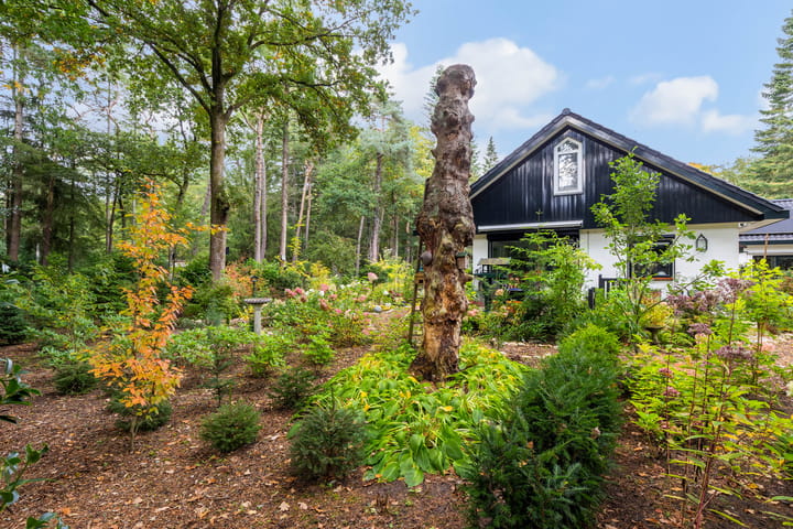 Foto 49 van Sparrenlaan 26