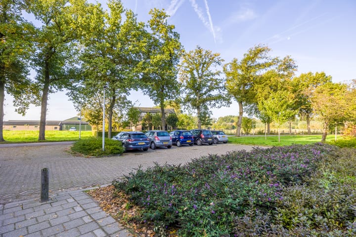 Photo 4 of De Punt 10