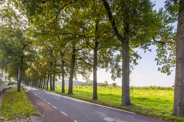 Photo 5 of De Punt 10