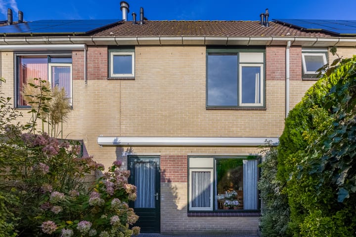 Foto 3 van De Punt 10