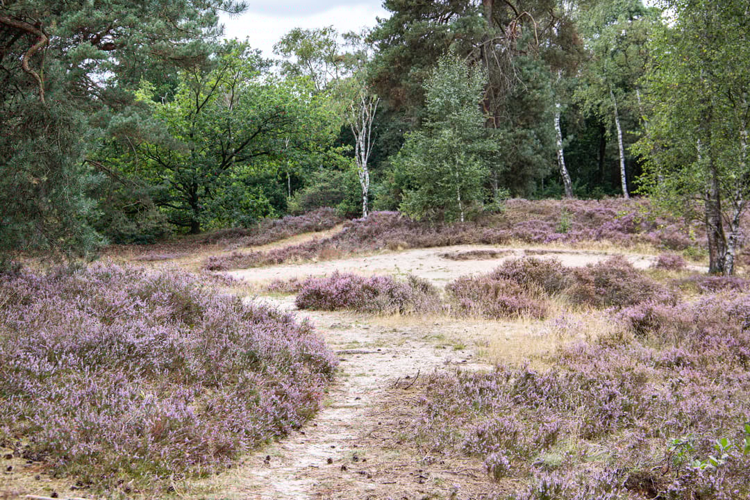 Foto 37 van Ted Visserweg 80