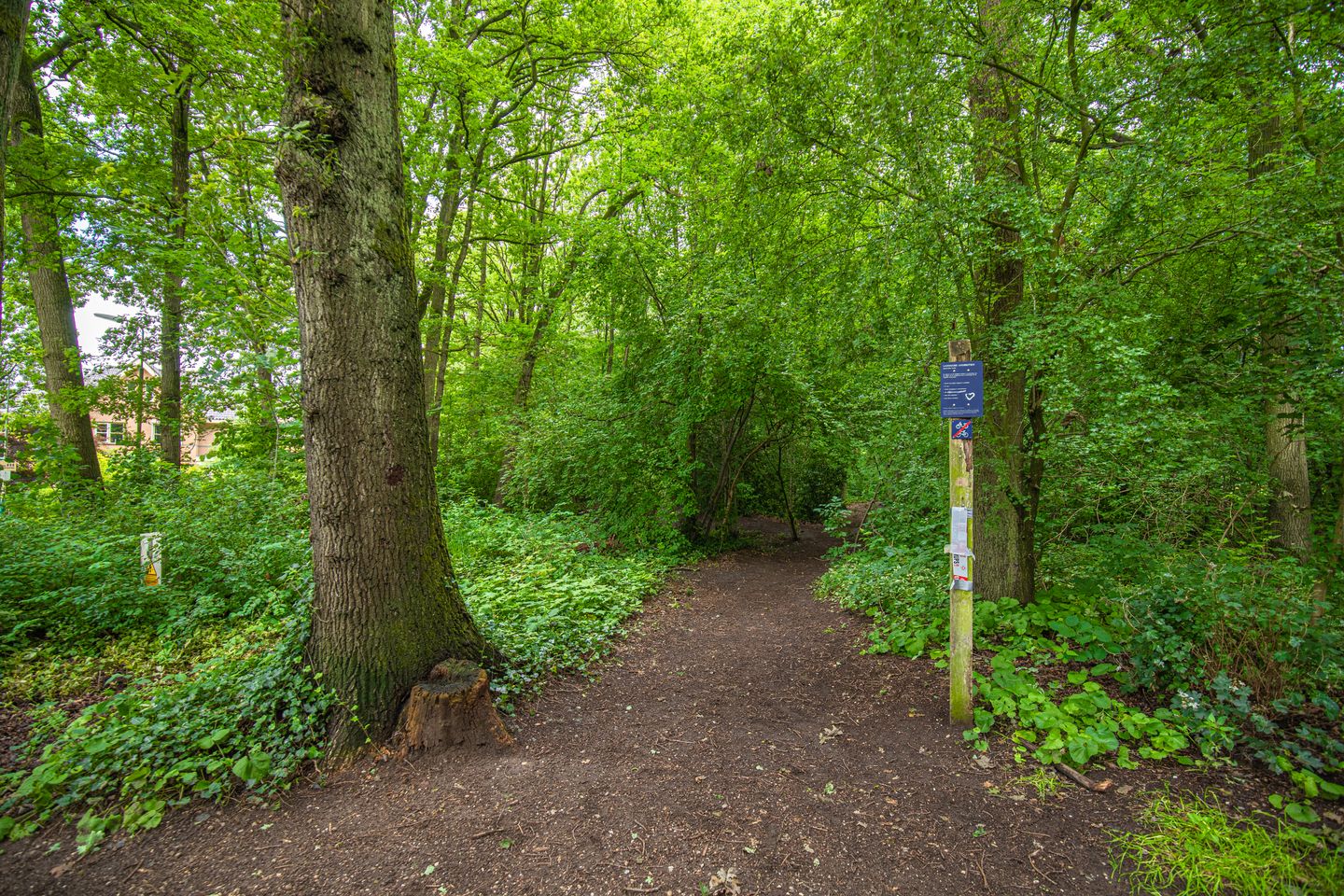 Foto 40 van Ted Visserweg 80