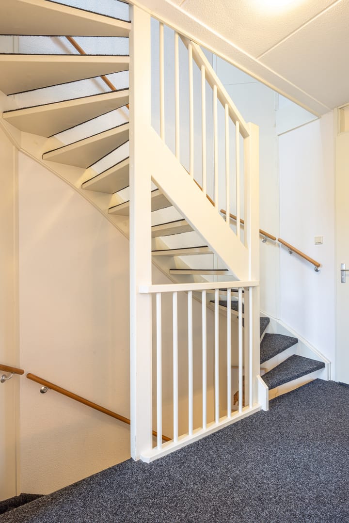 Foto 11 van Haspengouw 41