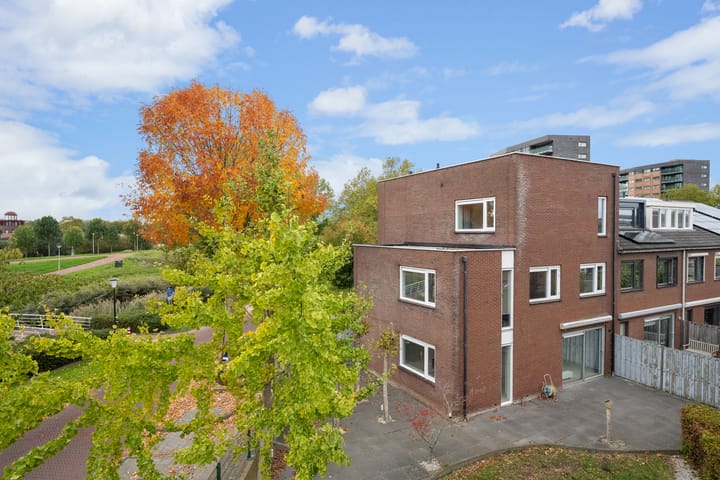 Foto 2 van Randmeer 1