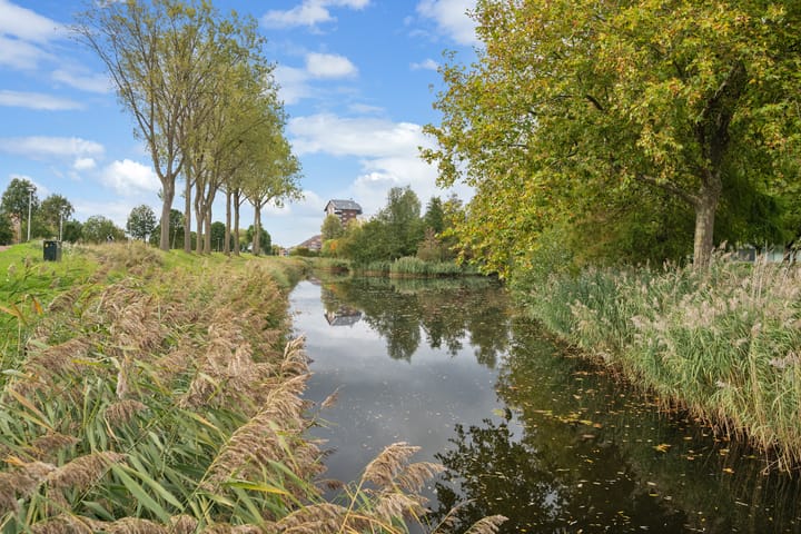 Foto 4 van Randmeer 1