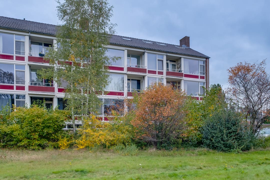 Foto 1 van Mezenlaan 83