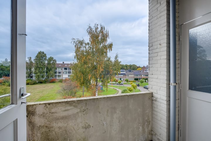 Foto 12 van Mezenlaan 83