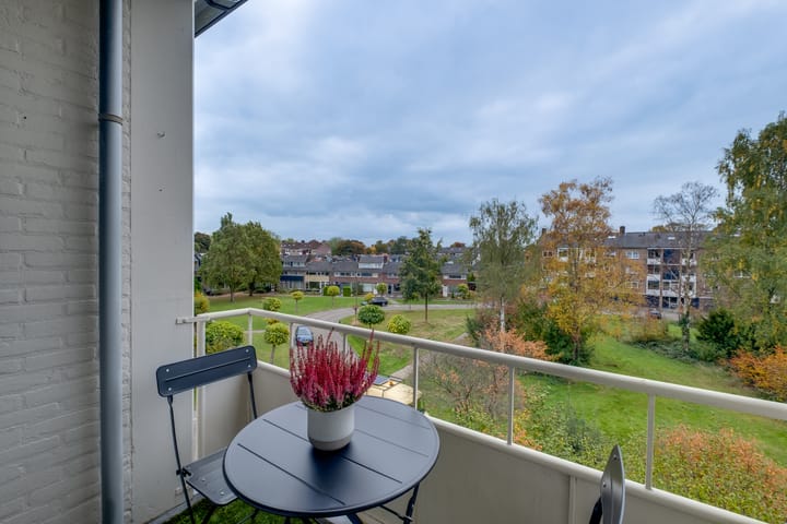 Foto 19 van Mezenlaan 83