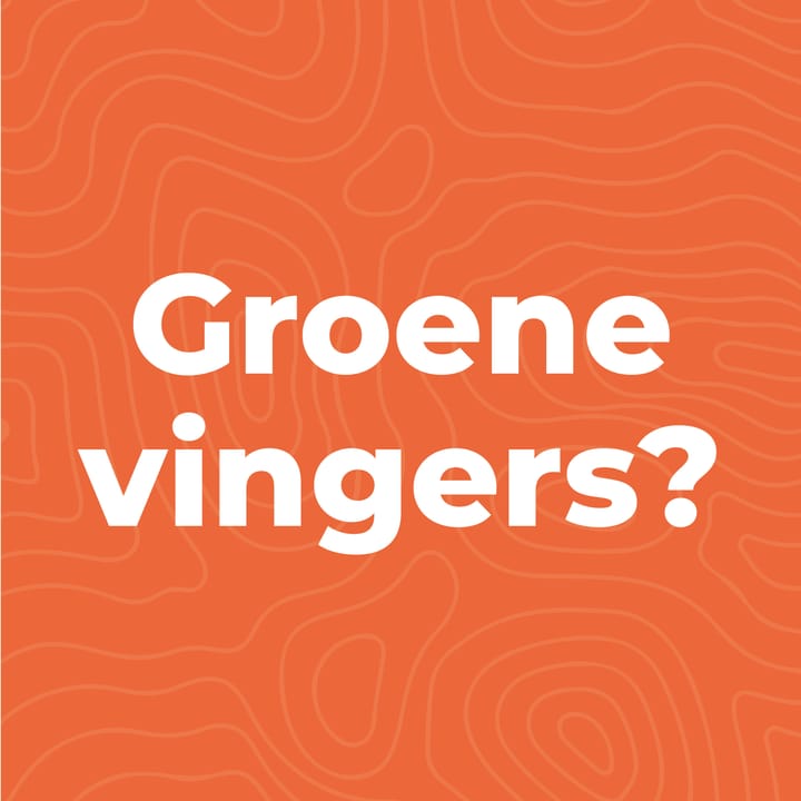 Foto 39 van Kerspel 48