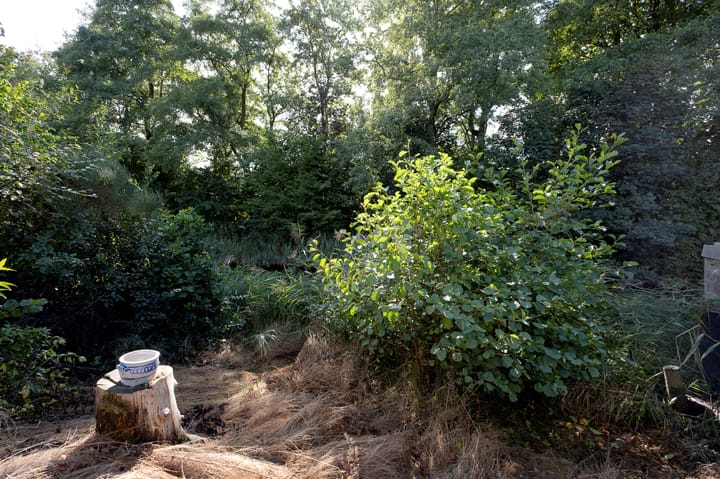 Foto 40 van Kerspel 48