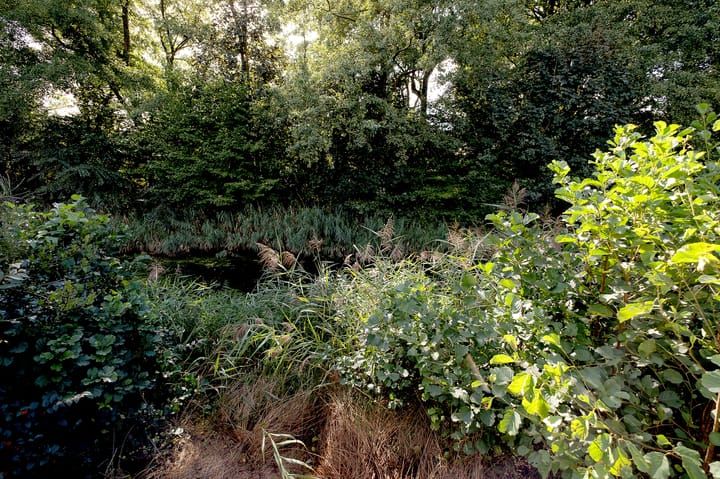 Foto 41 van Kerspel 48