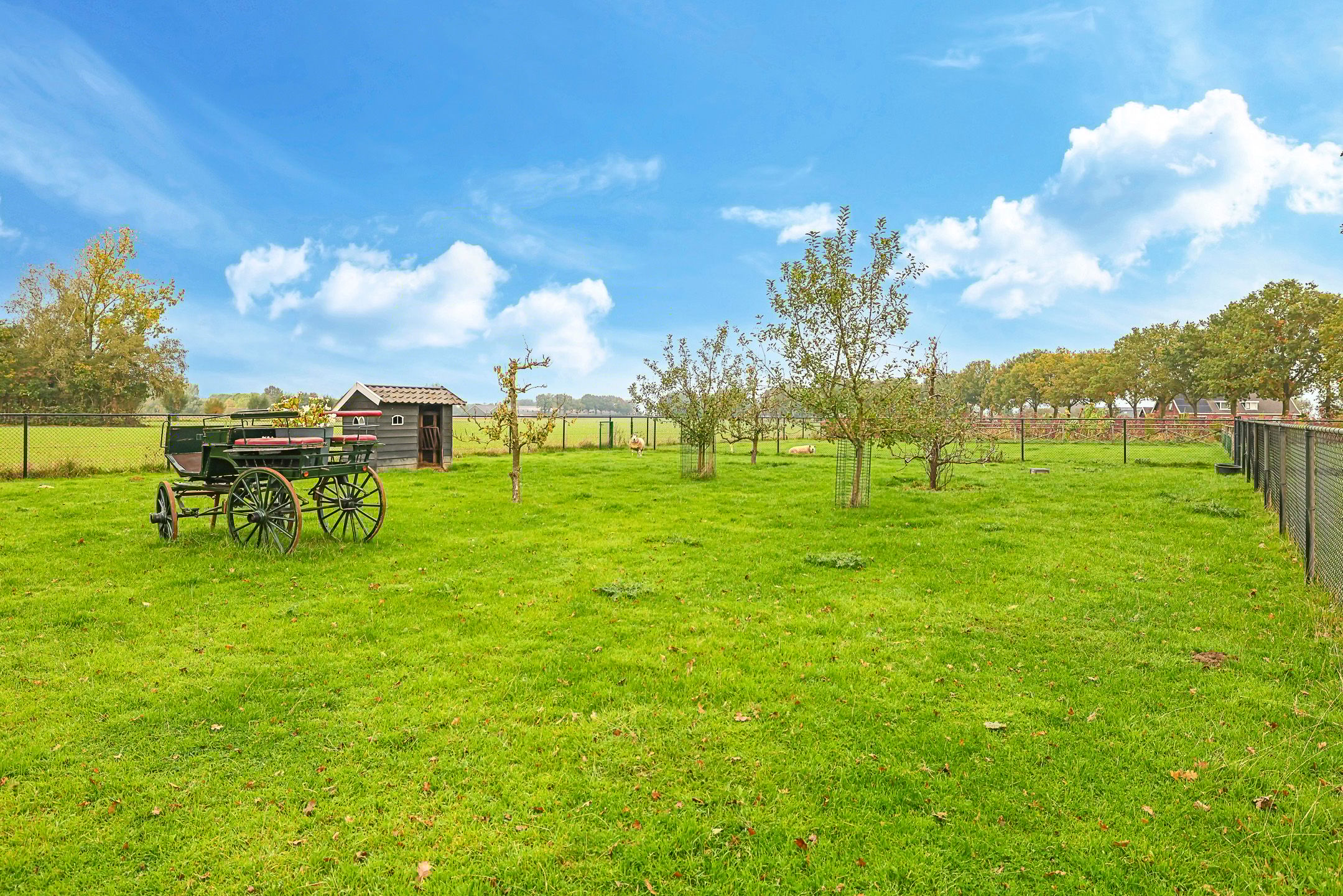 Foto 60 van Zomerweg 49