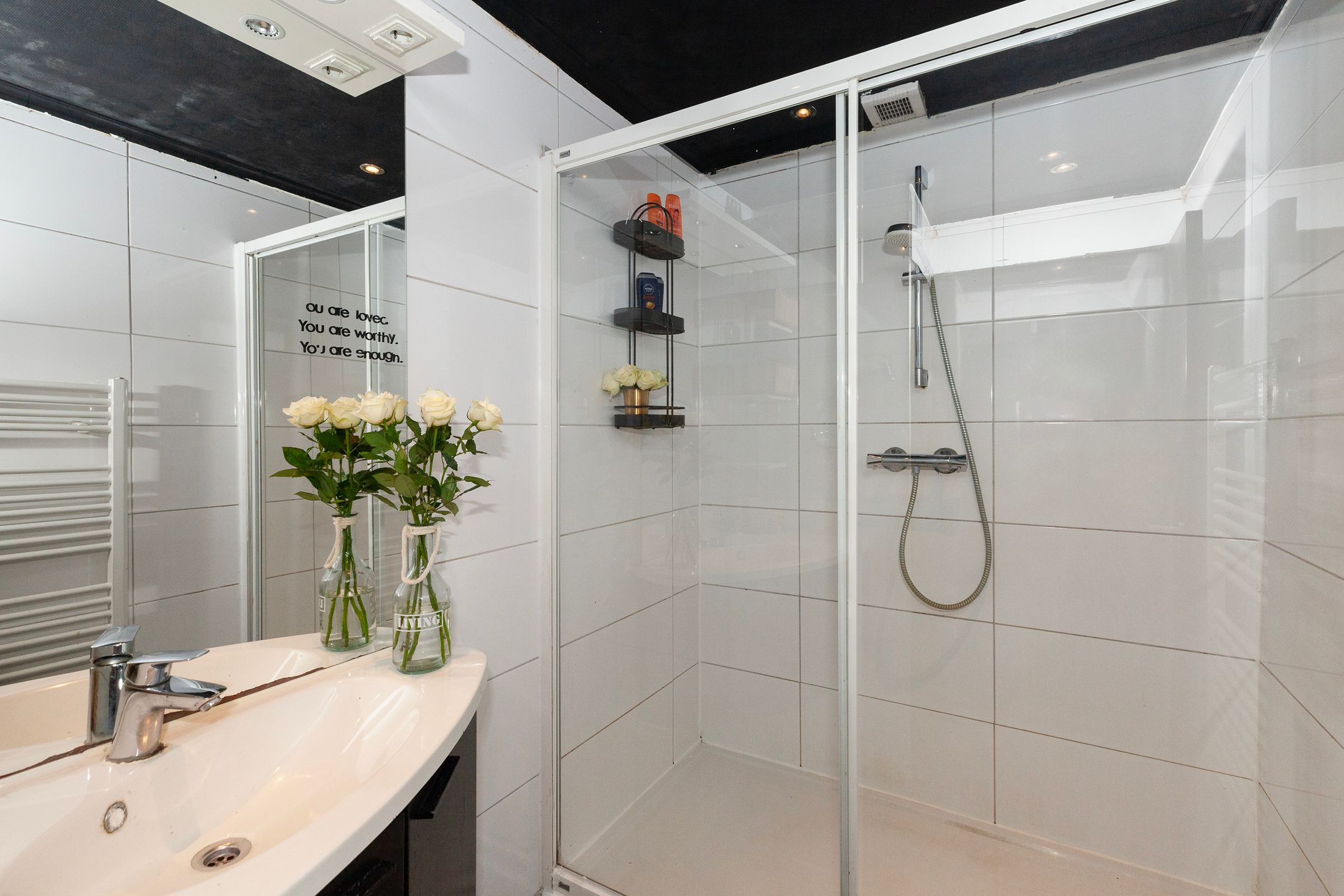 Foto 33 van van Riebeeckstraat 69