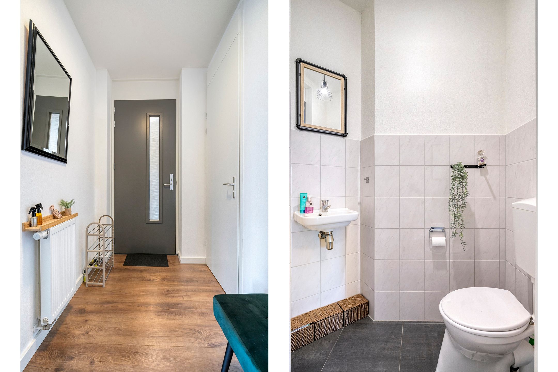 Photo 12 of Elshouter 47