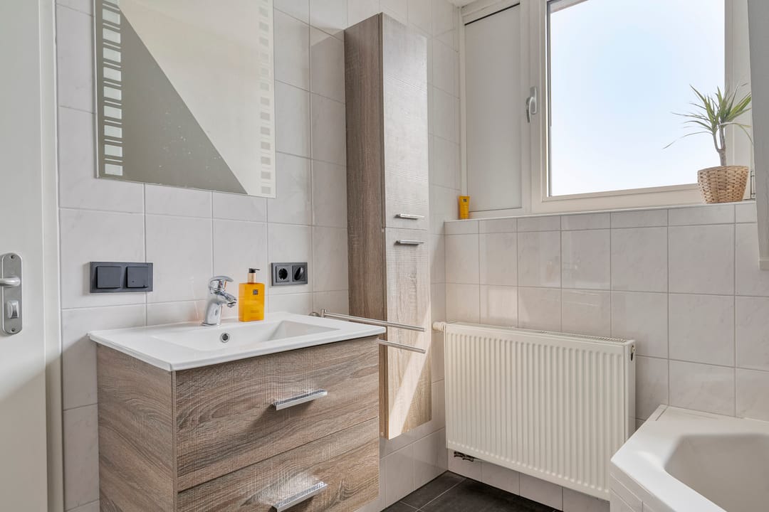 Photo 13 of Elshouter 47