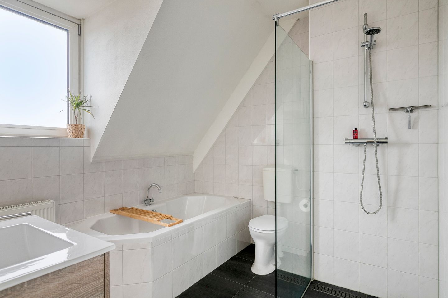 Photo 14 of Elshouter 47