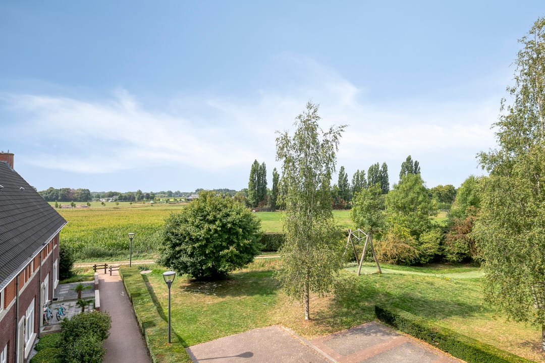 Photo 23 of Elshouter 47