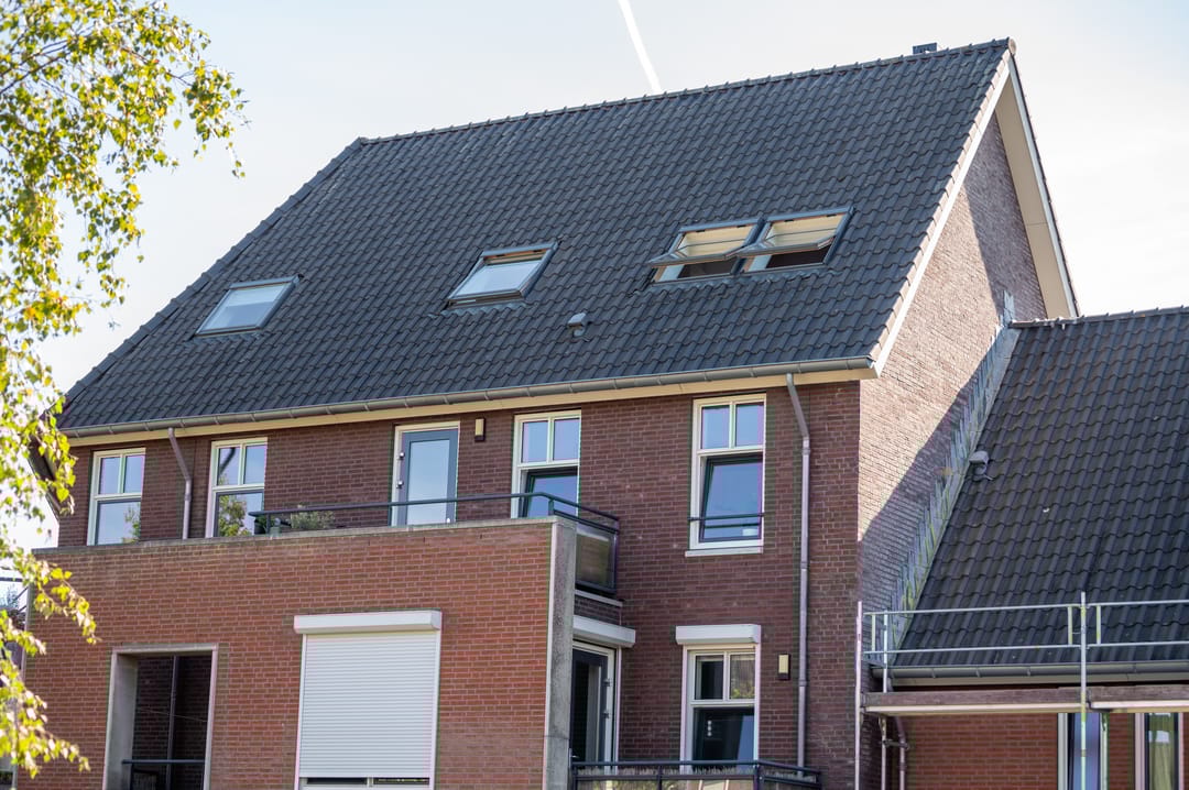 Photo 26 of Elshouter 47