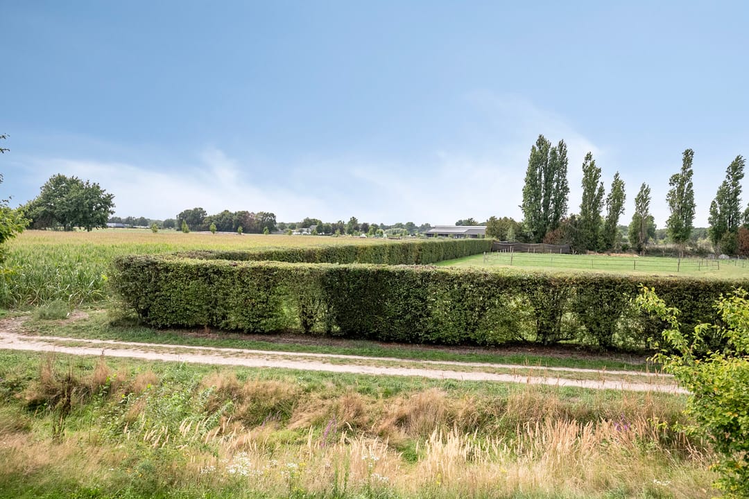 Photo 31 of Elshouter 47