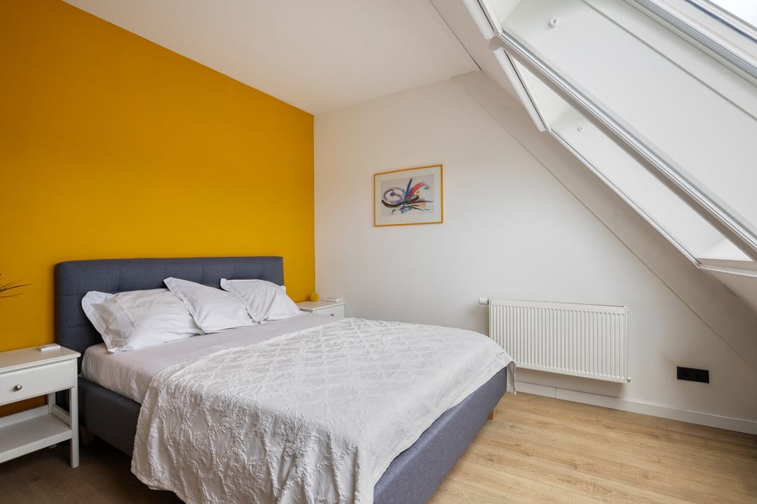 Photo 16 of Elshouter 47