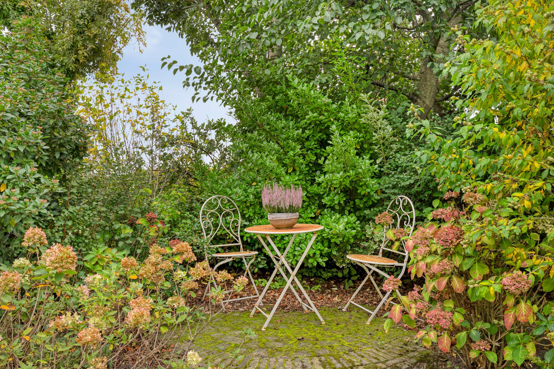 Foto 21 van Wilgenhoekweg 36