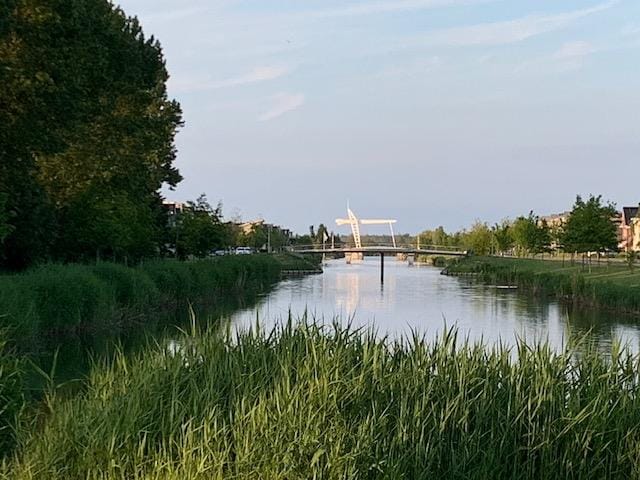 Foto 46 van Timmersteek 2