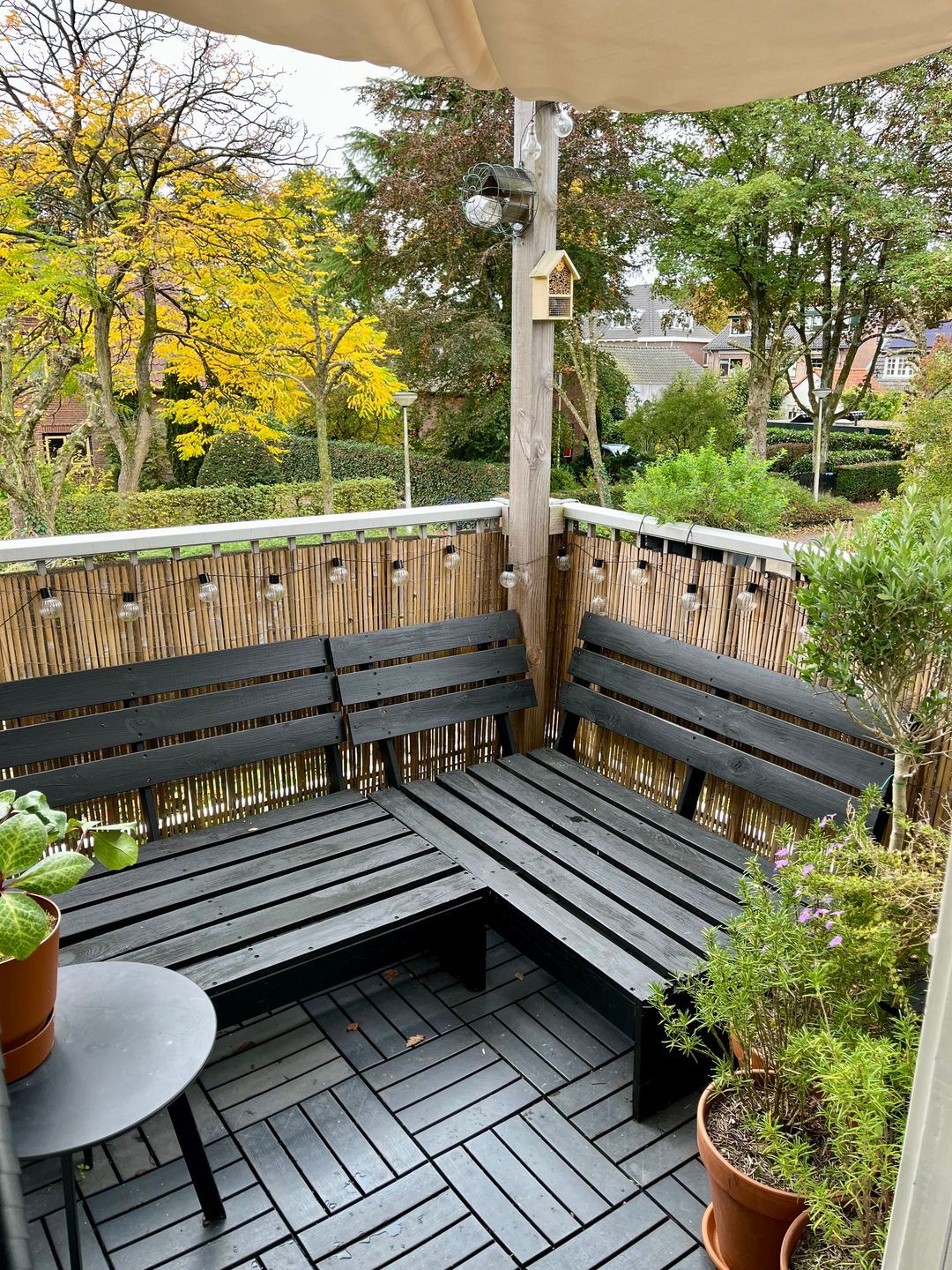 Foto 16 van Scheltemalaan 8