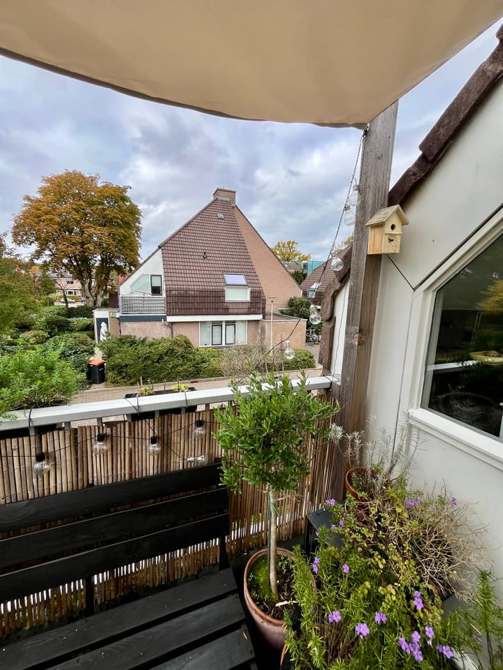 Foto 17 van Scheltemalaan 8