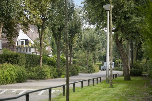 Foto 18 van Scheltemalaan 8