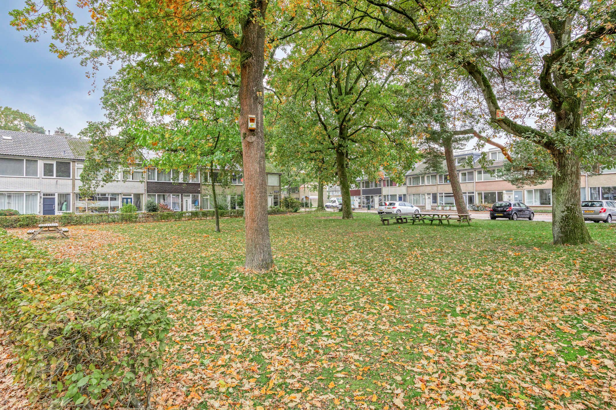 Foto 33 van Roland Holsthof 22