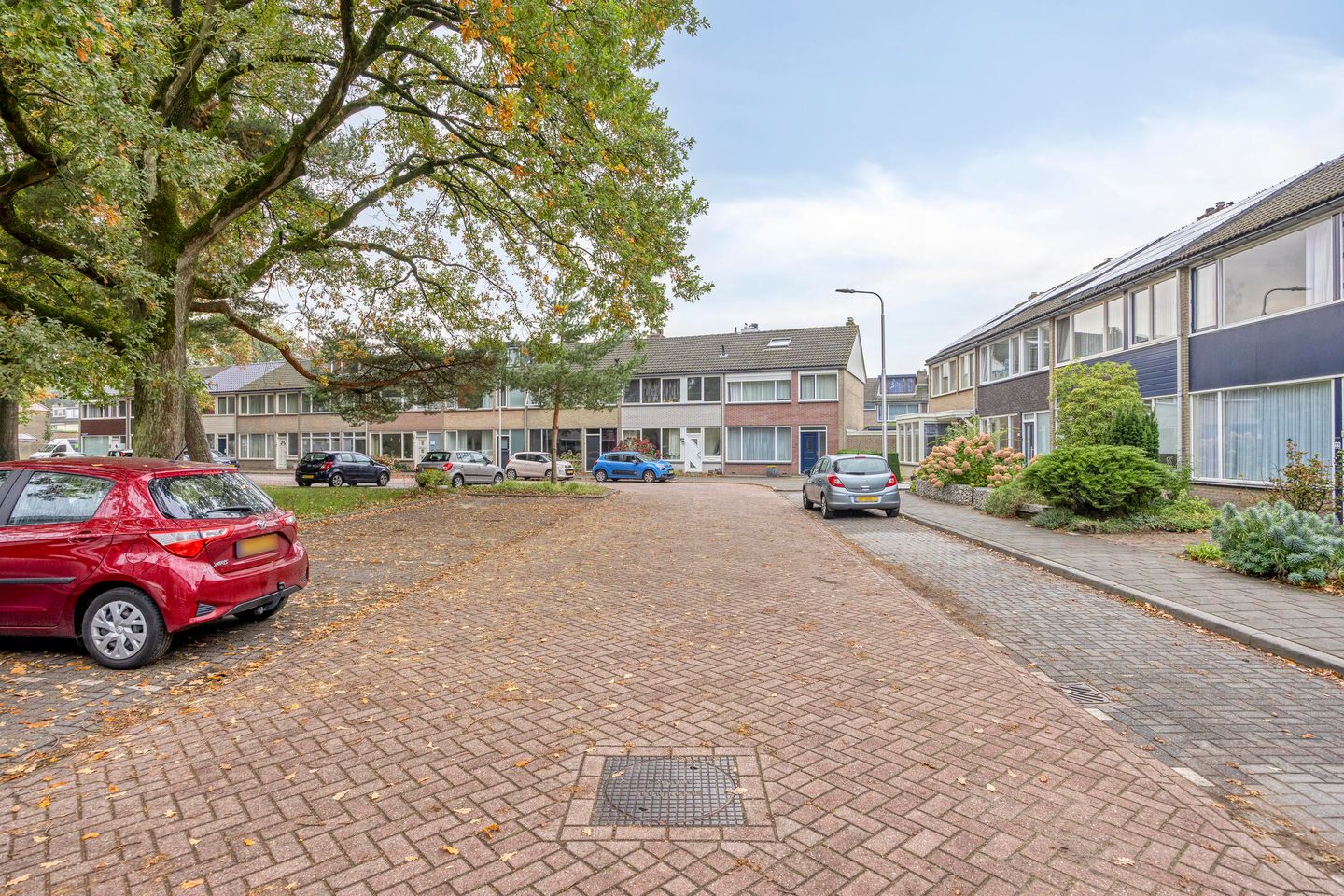 Foto 34 van Roland Holsthof 22