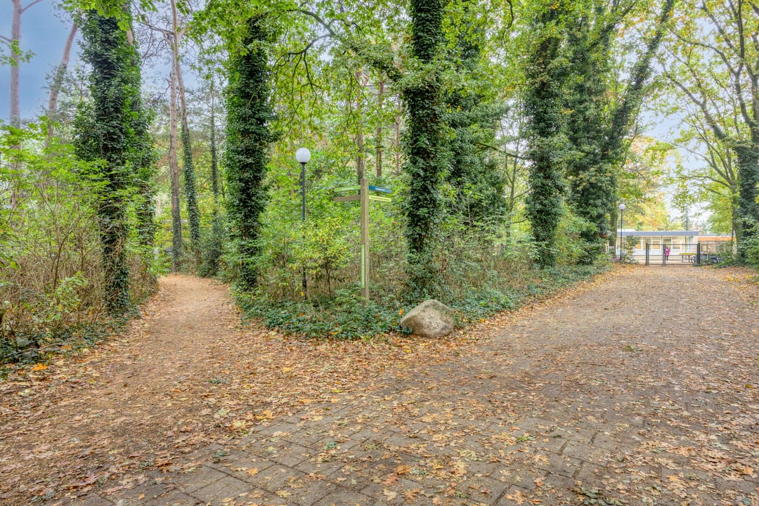 Foto 37 van Roland Holsthof 22