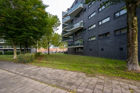 Salsastraat 119