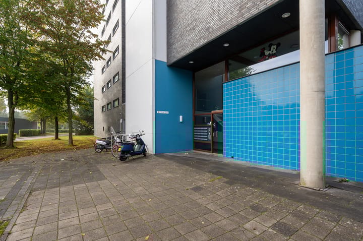 Foto 3 van Salsastraat 119